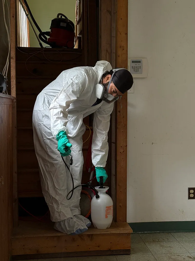 Cleaning professional vacuuming carpet in a commercial space