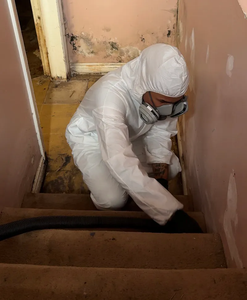 Cleaning professional vacuuming carpet in a commercial space